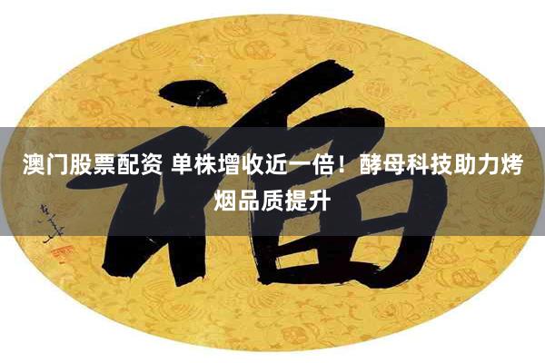 澳门股票配资 单株增收近一倍！酵母科技助力烤烟品质提升