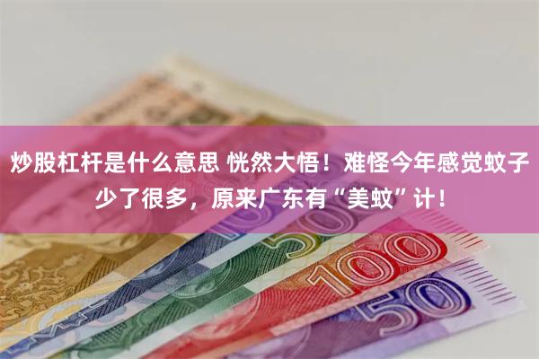 炒股杠杆是什么意思 恍然大悟！难怪今年感觉蚊子少了很多，原来广东有“美蚊”计！