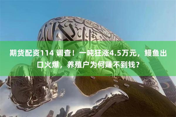 期货配资114 调查！一吨狂涨4.5万元，鳗鱼出口火爆，养殖户为何赚不到钱？