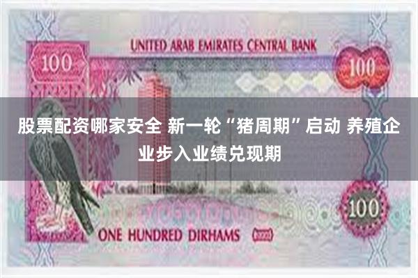 股票配资哪家安全 新一轮“猪周期”启动 养殖企业步入业绩兑现期