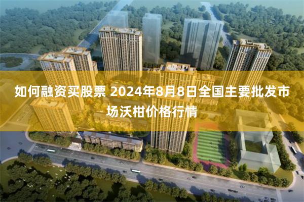 如何融资买股票 2024年8月8日全国主要批发市场沃柑价格行情