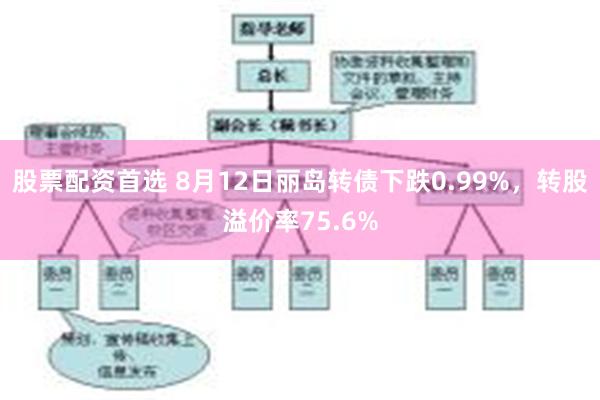 股票配资首选 8月12日丽岛转债下跌0.99%，转股溢价率75.6%