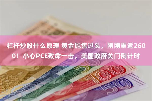 杠杆炒股什么原理 黄金抛售过头，刚刚重返2600！小心PCE致命一击，美国政府关门倒计时