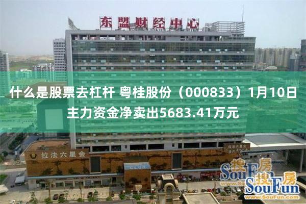 什么是股票去杠杆 粤桂股份（000833）1月10日主力资金净卖出5683.41万元