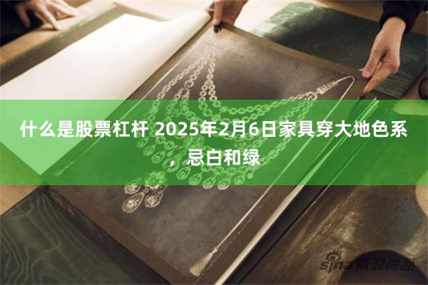 什么是股票杠杆 2025年2月6日家具穿大地色系，忌白和绿