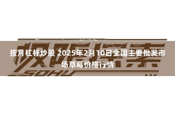 按月杠杆炒股 2025年2月10日全国主要批发市场草莓价格行情