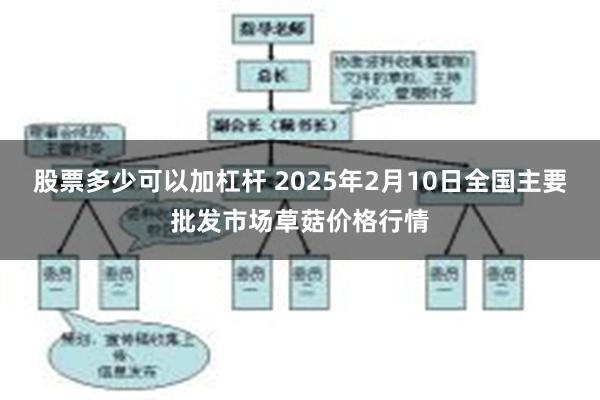 股票多少可以加杠杆 2025年2月10日全国主要批发市场草菇价格行情